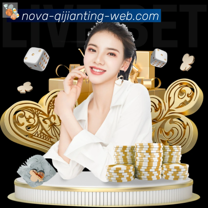 企业概况